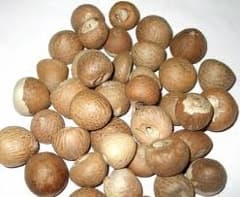 Supplying dried Areca Nuts for export